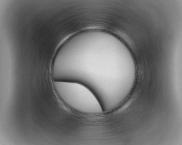 X0000115701129200911120938