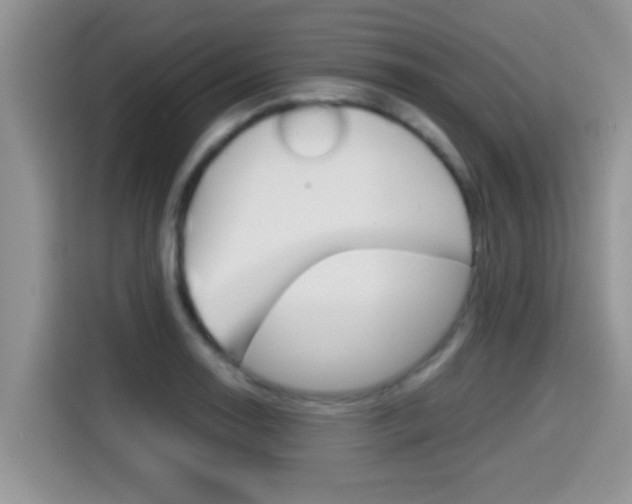 X0000115701130200911120938