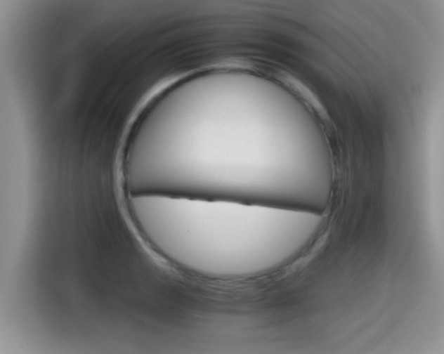 X0000115701133200911120938