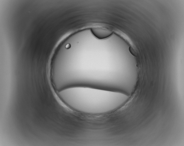 X0000115701135200911120938