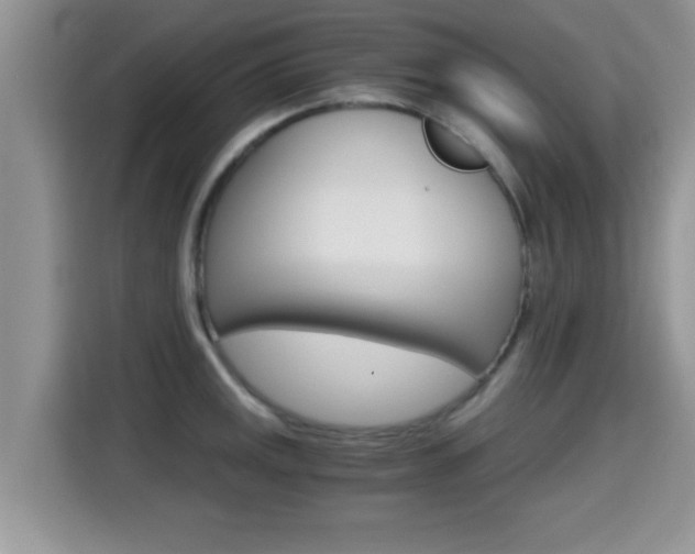 X0000115701141200911120938