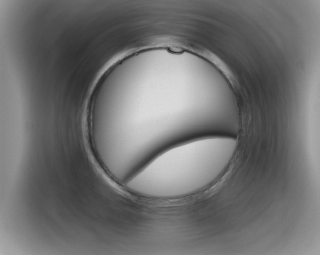 X0000115701142200911120938