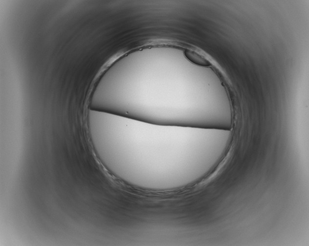 X0000115701145200911120938