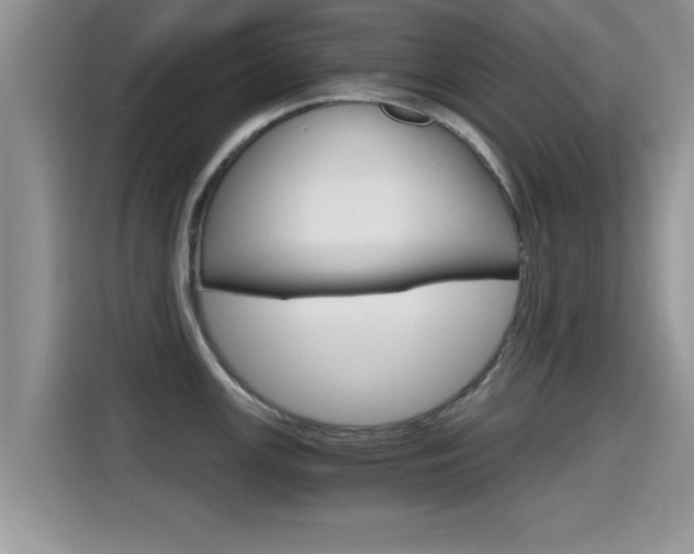 X0000115701147200911120938