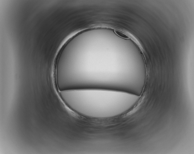 X0000115701149200911120938