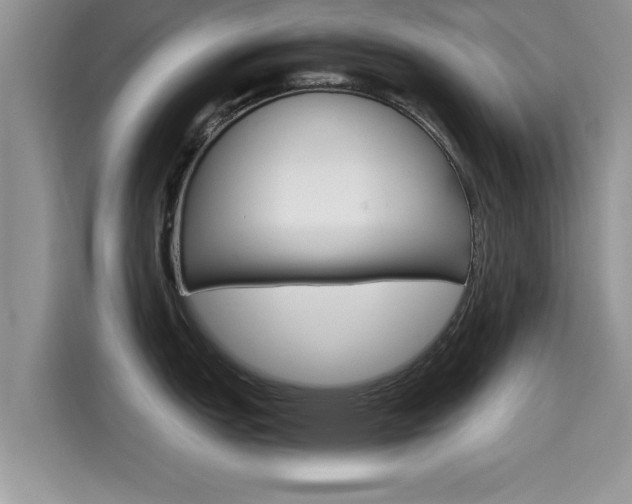 X0000115701151200911120938