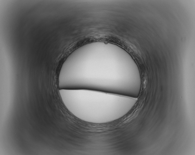 X0000115701156200911120937