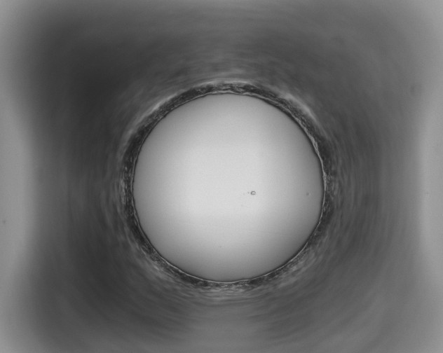 X0000115701159200911120937