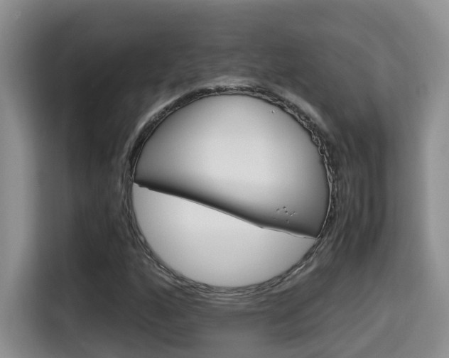 X0000115701160200911120937