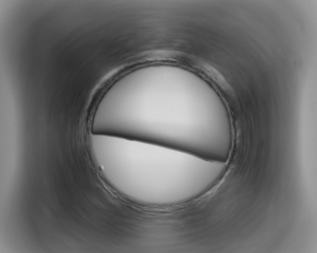 X0000115701164200911120937