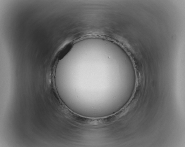 X0000115701165200911120937