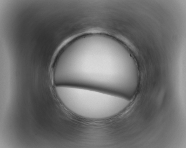 X0000115701175200911120937