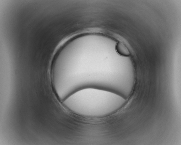X0000115701176200911120937