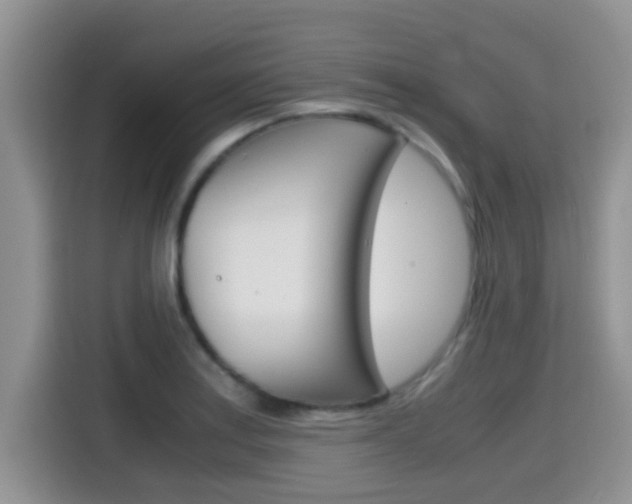 X0000115701179200911120937