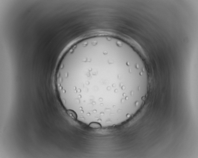 X0000115701182200911120937