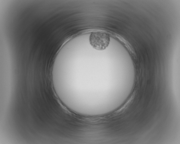 X0000115701185200911120937