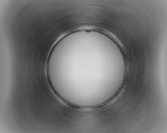 X0000115701186200911120937