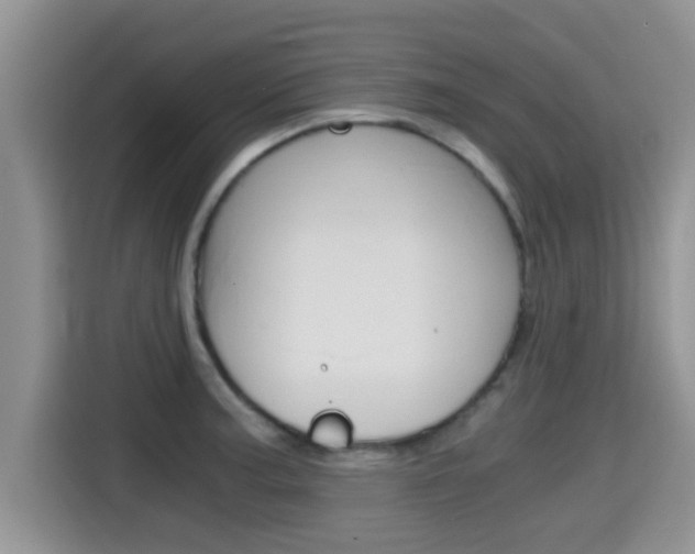 X0000115701187200911120937