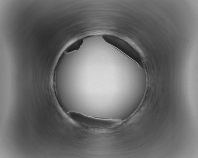X0000115701189200911120937