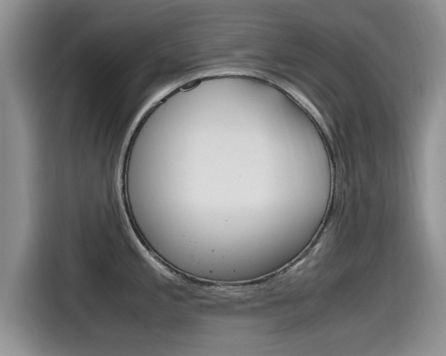 X0000115701197200911120937