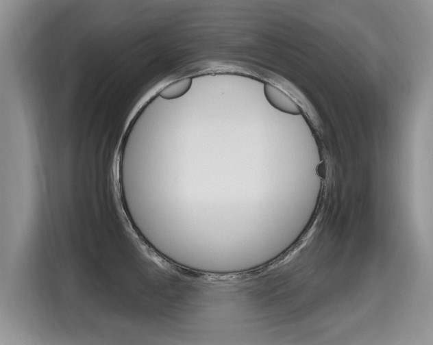 X0000115701198200911120937