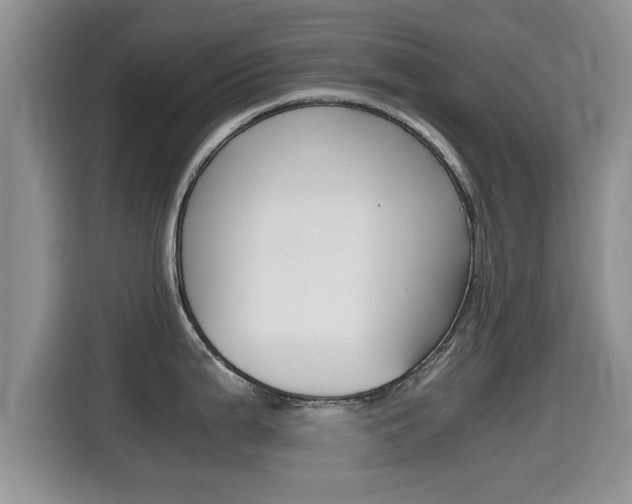X0000115701199200911120937