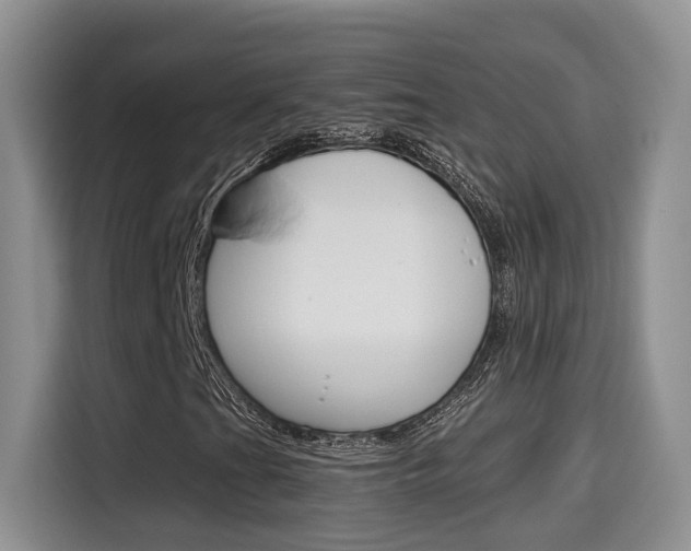 X0000115701201200911120936