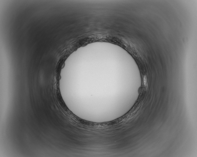 X0000115701203200911120936