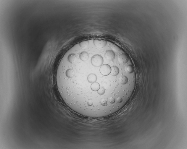 X0000115701205200911120936