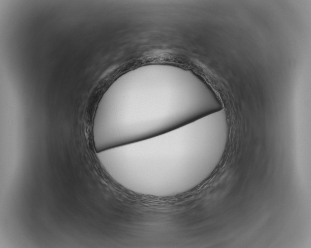 X0000115701206200911120936