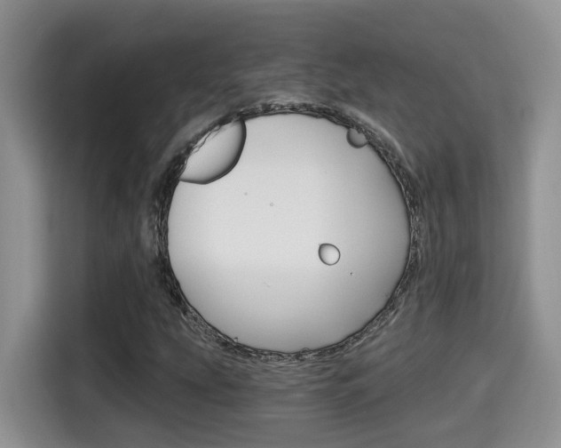 X0000115701207200911120936