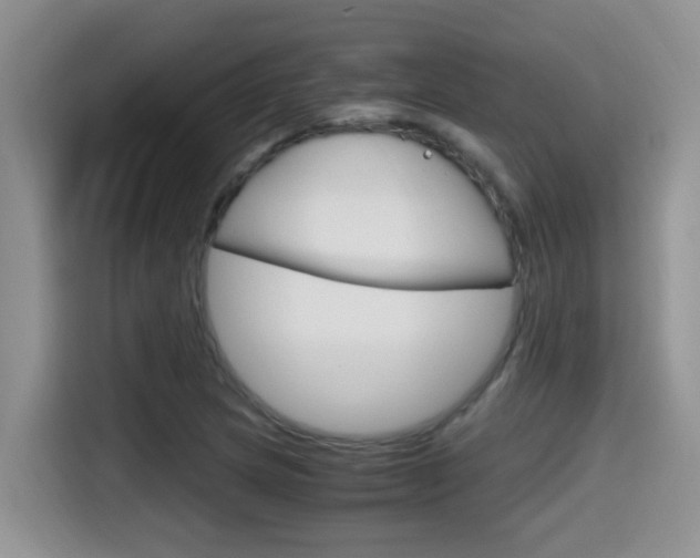 X0000115701217200911120936
