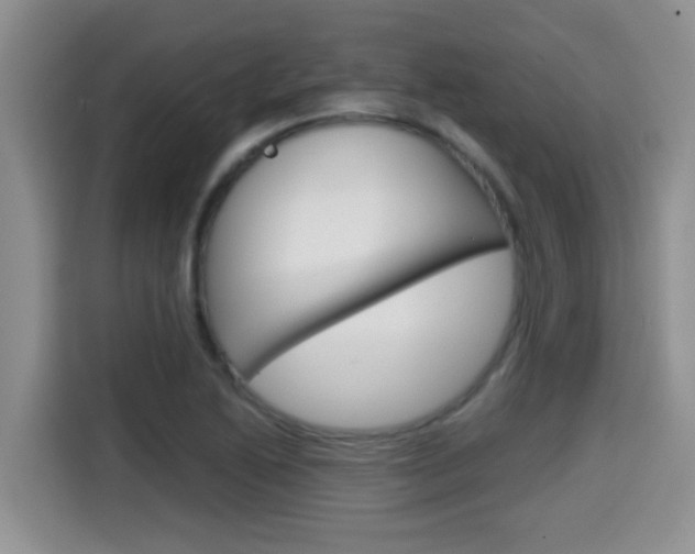X0000115701222200911120936