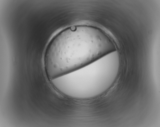 X0000115701230200911120936