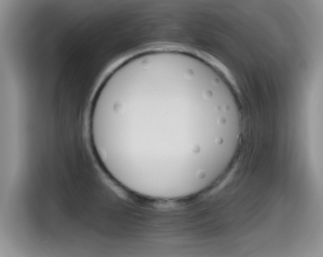 X0000115701231200911120936