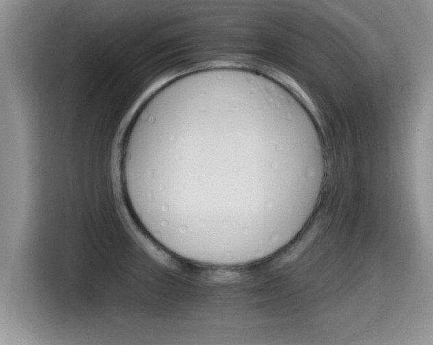 X0000115701235200911120937