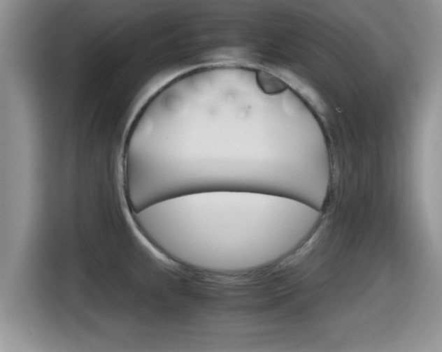 X0000115701239200911120937