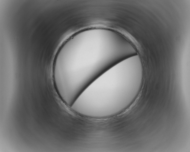 X0000115701240200911120937