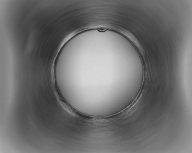 X0000115701242200911120937