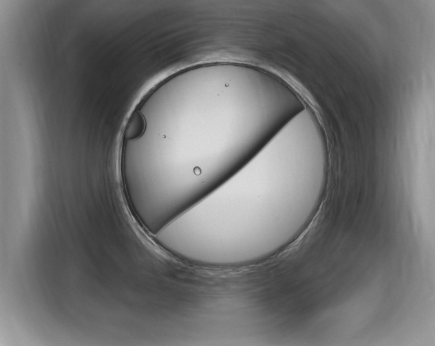 X0000115701246200911120937