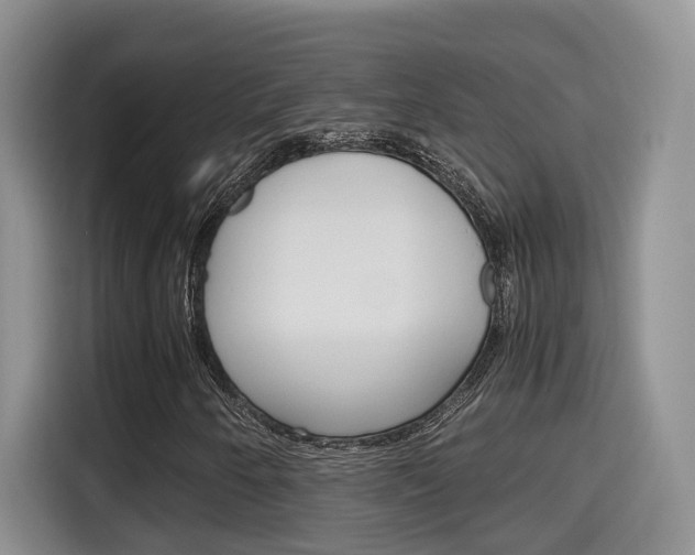 X0000115701250200911120936