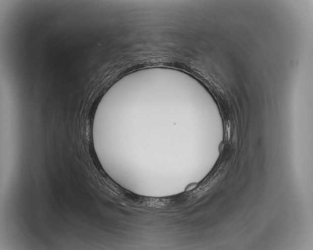 X0000115701251200911120936