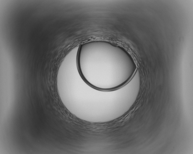 X0000115701253200911120936