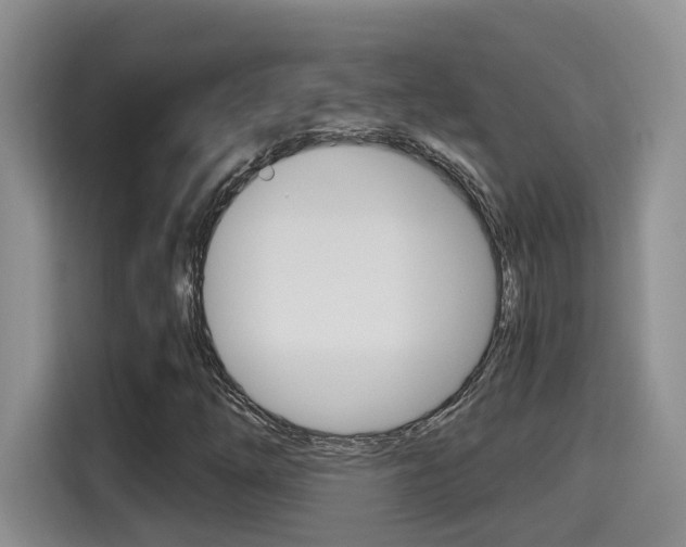 X0000115701254200911120936