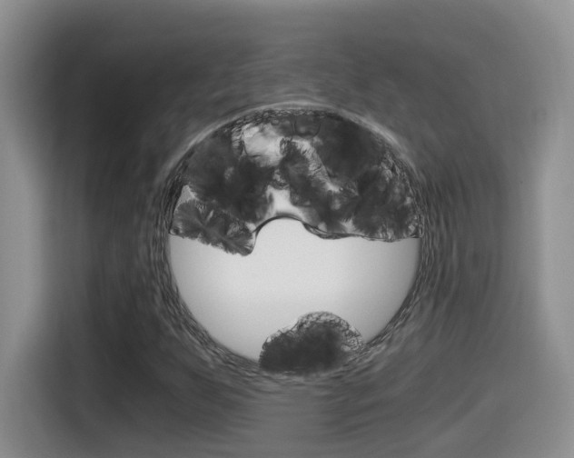 X0000115701255200911120936