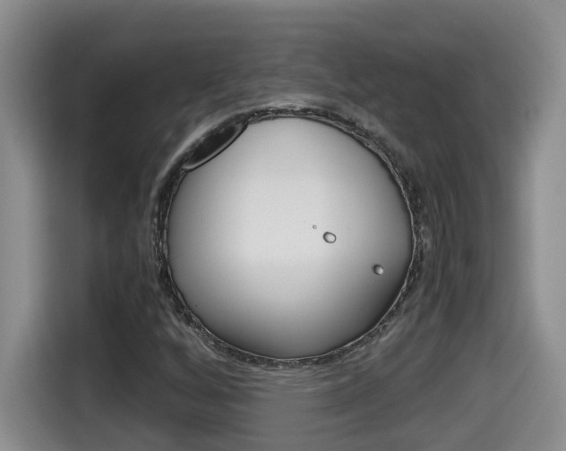 X0000115701256200911120936