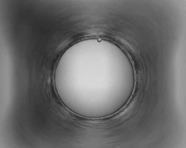 X0000115701257200911120936