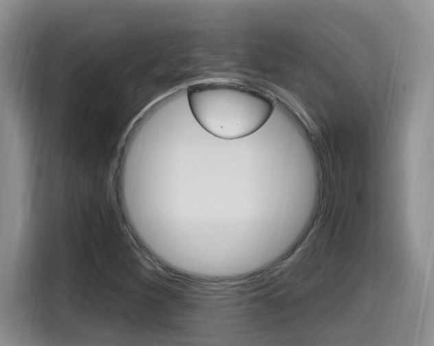 X0000115701260200911120936