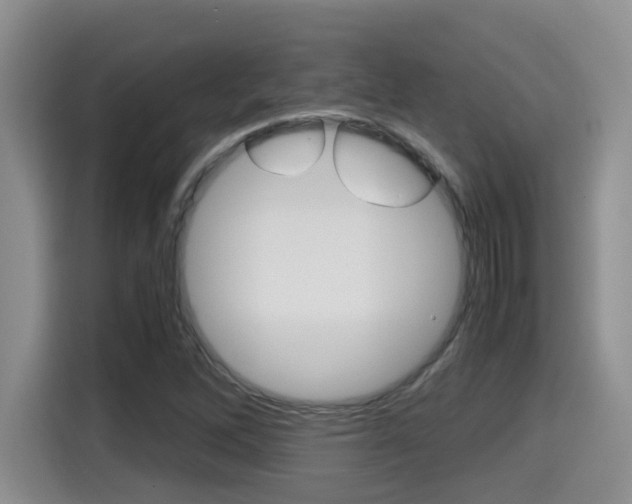 X0000115701262200911120936