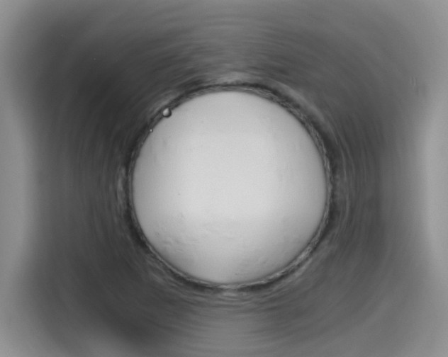 X0000115701265200911120936